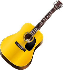 acoustic guitars