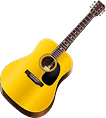 acoustic guitars